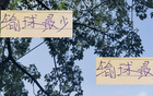 23輪后，北京國(guó)安輸3場(chǎng)，申花多敗一場(chǎng)。