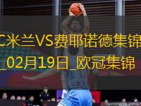 02月19日歐冠淘汰賽附加賽次回合AC米蘭vs費耶諾德進球視頻