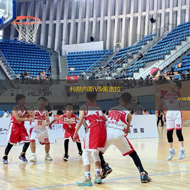 利昂內(nèi)斯VS佩雷拉