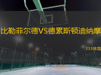 比勒菲爾德VS德累斯頓迪納摩