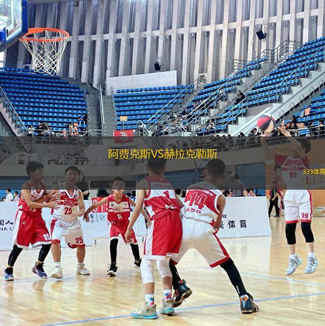 阿賈克斯VS赫拉克勒斯