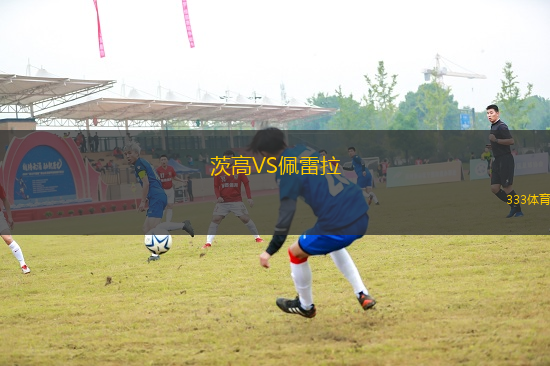茨高VS佩雷拉